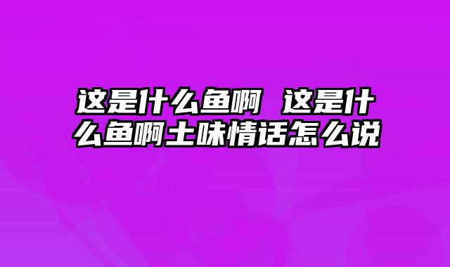 这是什么鱼啊 这是什么鱼啊土味情话怎么说
