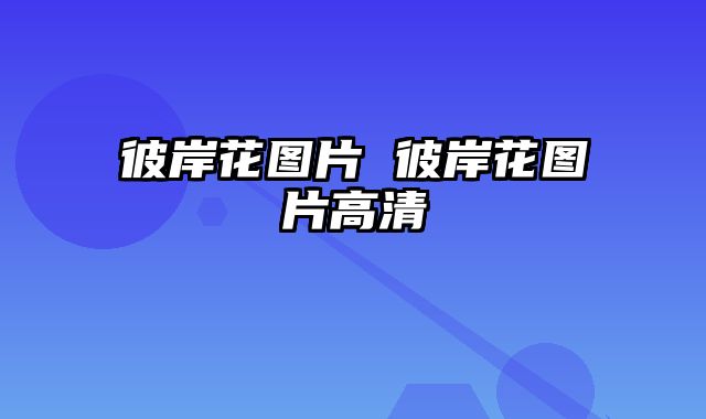 彼岸花图片 彼岸花图片高清