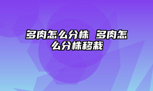 多肉怎么分株 多肉怎么分株移栽