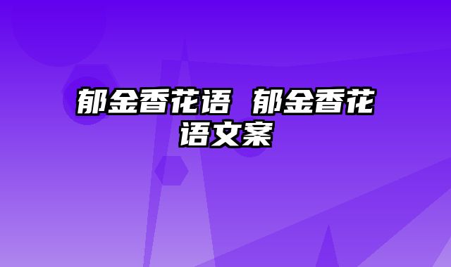 郁金香花语 郁金香花语文案