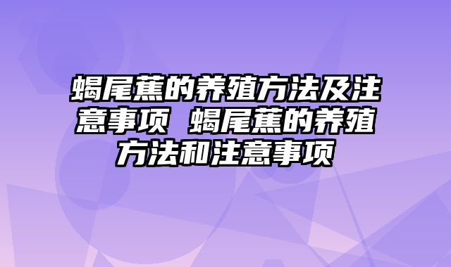 蝎尾蕉的养殖方法及注意事项 蝎尾蕉的养殖方法和注意事项