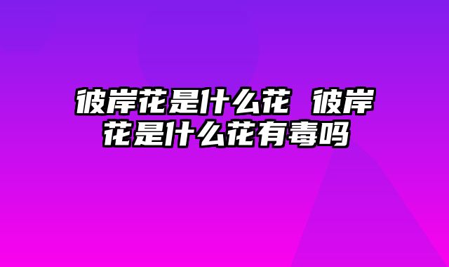 彼岸花是什么花 彼岸花是什么花有毒吗