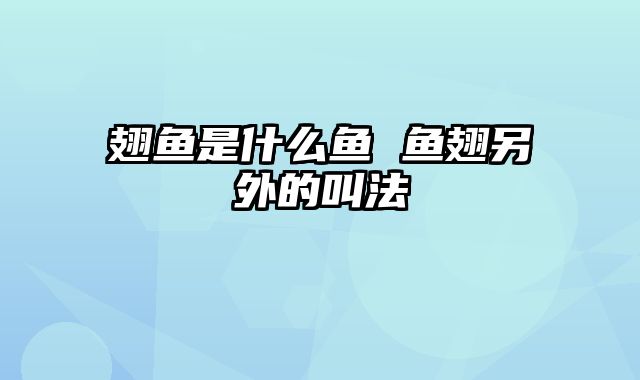 翅鱼是什么鱼 鱼翅另外的叫法