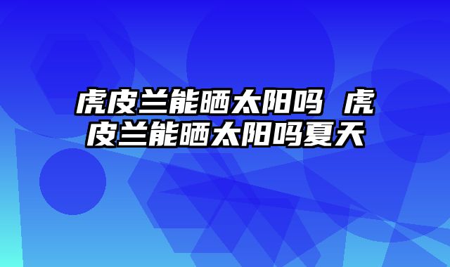 虎皮兰能晒太阳吗 虎皮兰能晒太阳吗夏天
