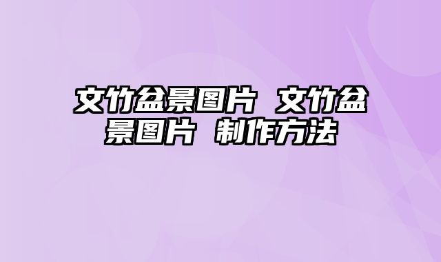 文竹盆景图片 文竹盆景图片 制作方法