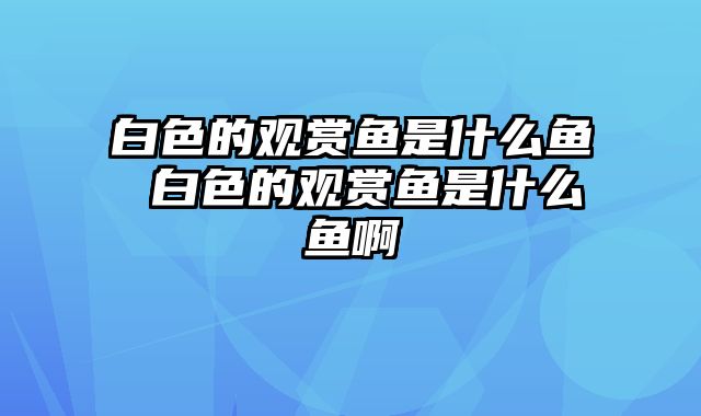白色的观赏鱼是什么鱼 白色的观赏鱼是什么鱼啊