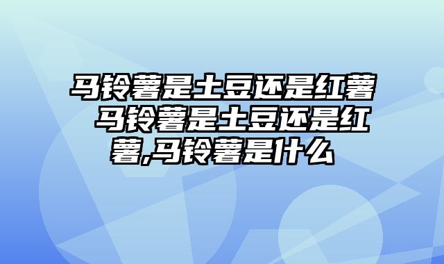 马铃薯是土豆还是红薯 马铃薯是土豆还是红薯,马铃薯是什么