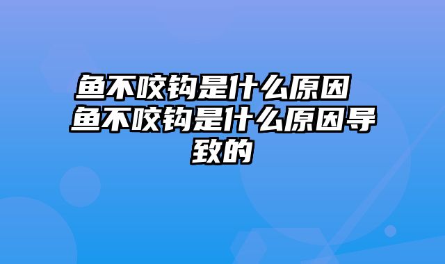 鱼不咬钩是什么原因 鱼不咬钩是什么原因导致的