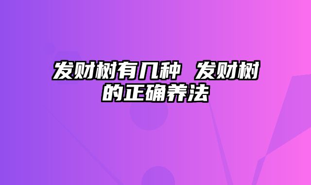 发财树有几种 发财树的正确养法