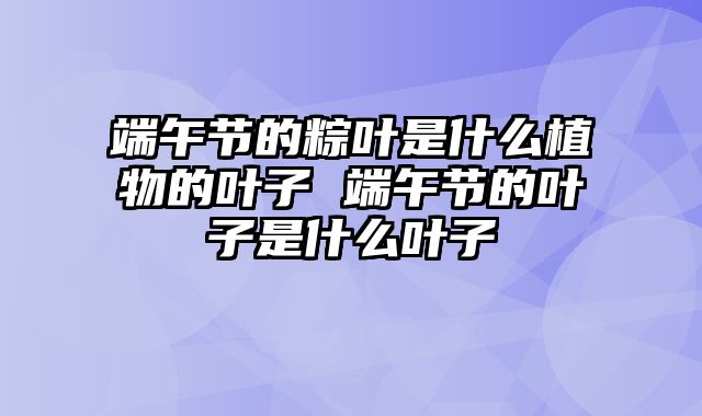 端午节的粽叶是什么植物的叶子 端午节的叶子是什么叶子
