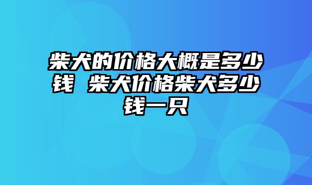 柴犬的价格大概是多少钱 柴犬价格柴犬多少钱一只