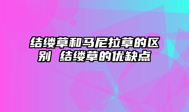 结缕草和马尼拉草的区别 结缕草的优缺点