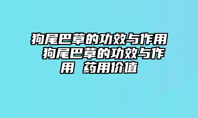 狗尾巴草的功效与作用 狗尾巴草的功效与作用 药用价值