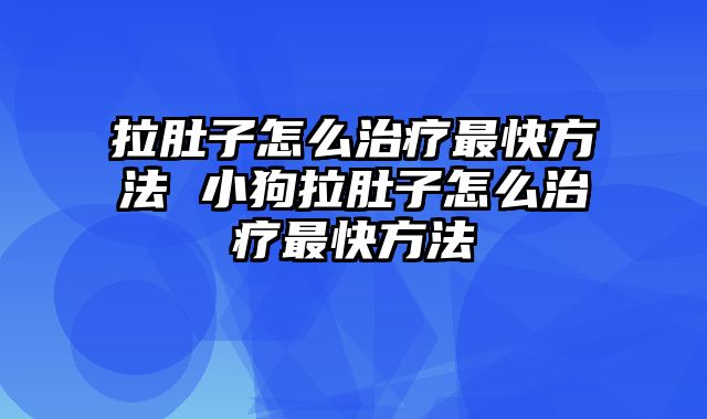 拉肚子怎么治疗最快方法 小狗拉肚子怎么治疗最快方法