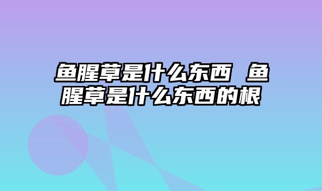 鱼腥草是什么东西 鱼腥草是什么东西的根