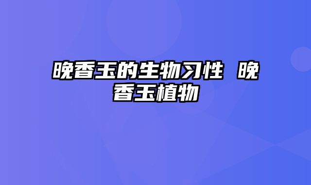 晚香玉的生物习性 晚香玉植物