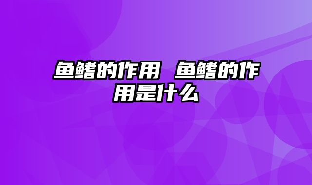 鱼鳍的作用 鱼鳍的作用是什么