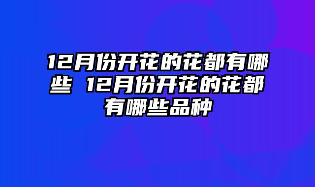 12月份开花的花都有哪些 12月份开花的花都有哪些品种