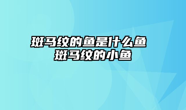 斑马纹的鱼是什么鱼 斑马纹的小鱼