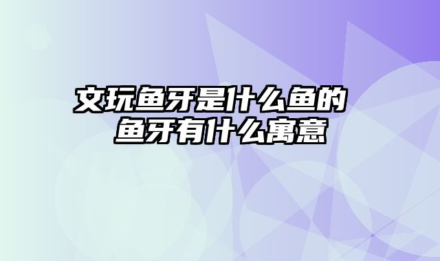 文玩鱼牙是什么鱼的 鱼牙有什么寓意