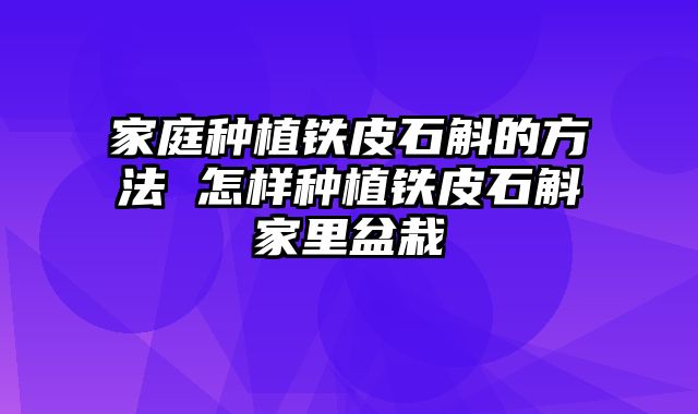 家庭种植铁皮石斛的方法 怎样种植铁皮石斛家里盆栽