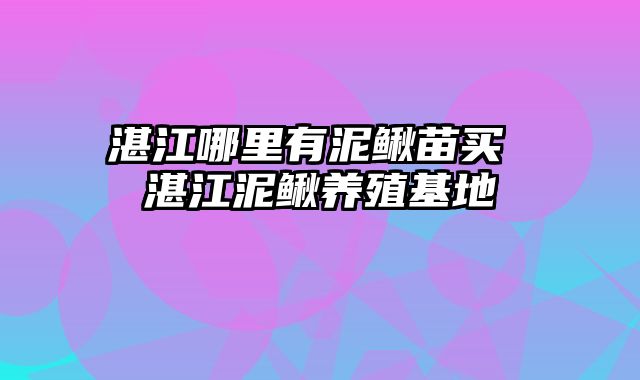 湛江哪里有泥鳅苗买 湛江泥鳅养殖基地