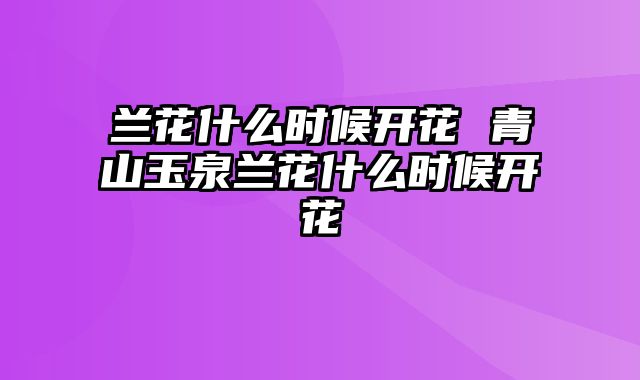 兰花什么时候开花 青山玉泉兰花什么时候开花