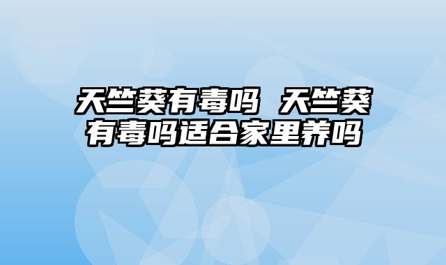 天竺葵有毒吗 天竺葵有毒吗适合家里养吗