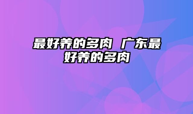 最好养的多肉 广东最好养的多肉