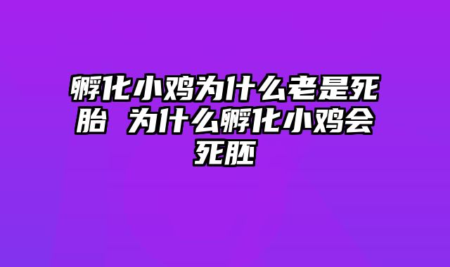 孵化小鸡为什么老是死胎 为什么孵化小鸡会死胚