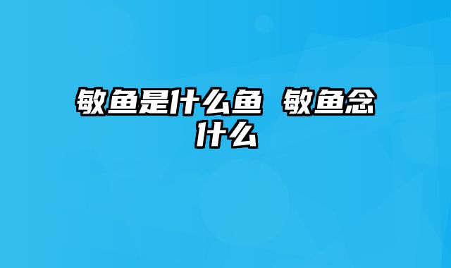 敏鱼是什么鱼 敏鱼念什么