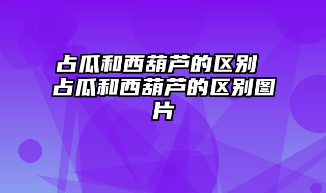 占瓜和西葫芦的区别 占瓜和西葫芦的区别图片