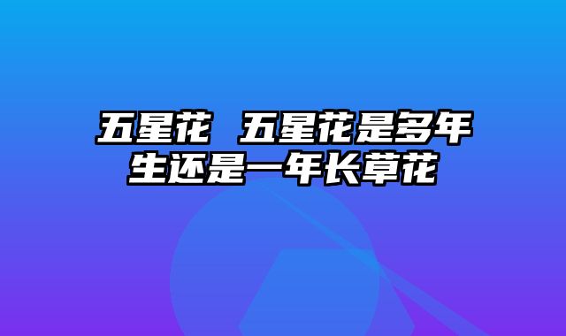五星花 五星花是多年生还是一年长草花