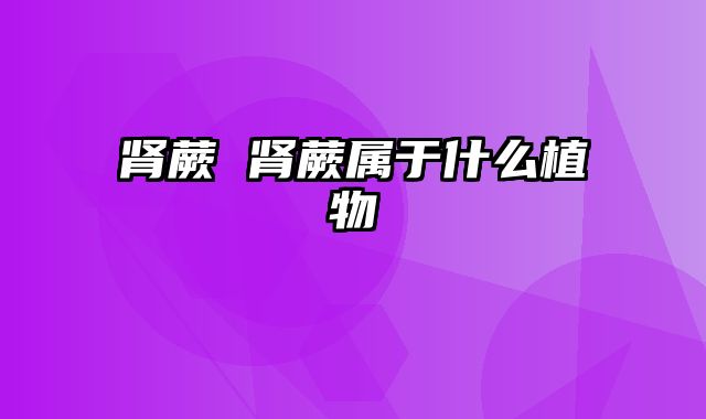 肾蕨 肾蕨属于什么植物