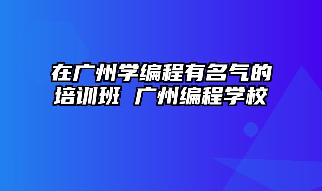 在广州学编程有名气的培训班 广州编程学校