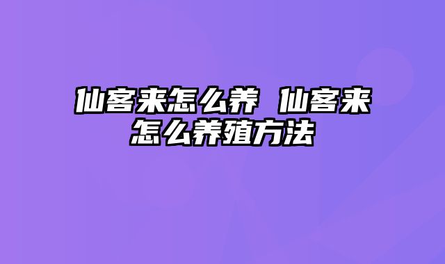 仙客来怎么养 仙客来怎么养殖方法