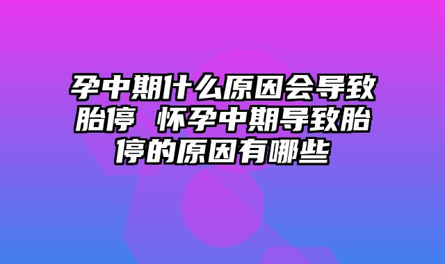 孕中期什么原因会导致胎停 怀孕中期导致胎停的原因有哪些
