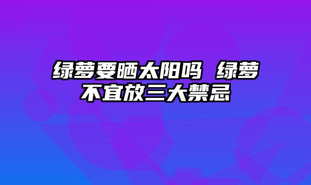 绿萝要晒太阳吗 绿萝不宜放三大禁忌