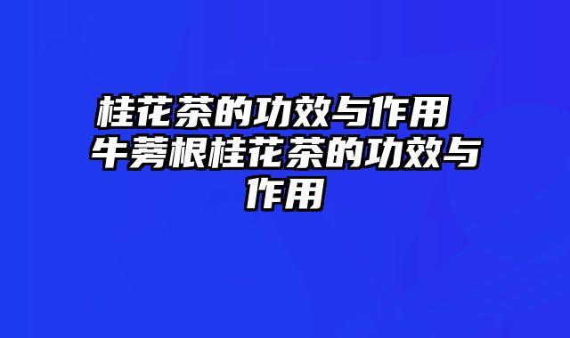 桂花茶的功效与作用 牛蒡根桂花茶的功效与作用
