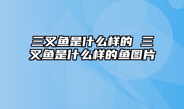 三叉鱼是什么样的 三叉鱼是什么样的鱼图片