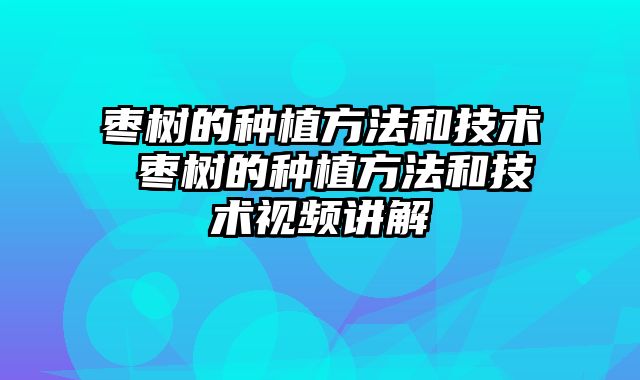 枣树的种植方法和技术 枣树的种植方法和技术视频讲解