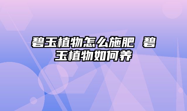 碧玉植物怎么施肥 碧玉植物如何养
