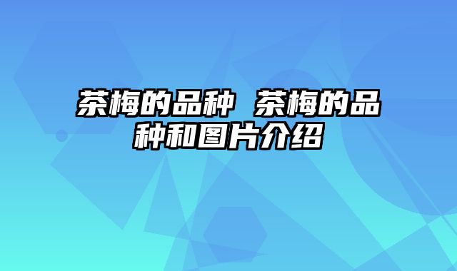 茶梅的品种 茶梅的品种和图片介绍
