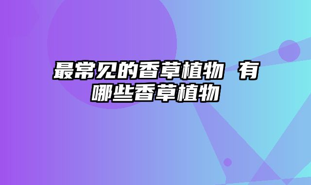 最常见的香草植物 有哪些香草植物