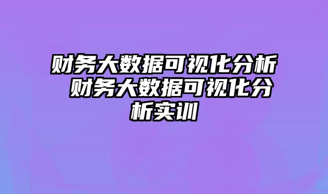 财务大数据可视化分析 财务大数据可视化分析实训
