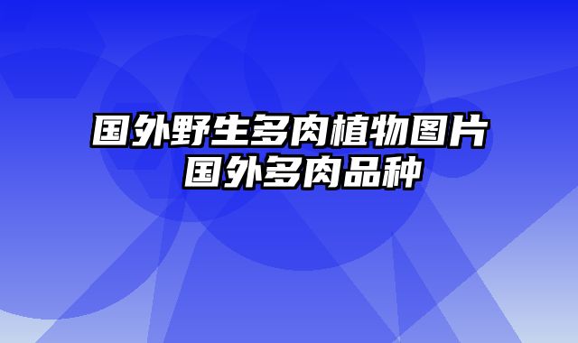 国外野生多肉植物图片 国外多肉品种