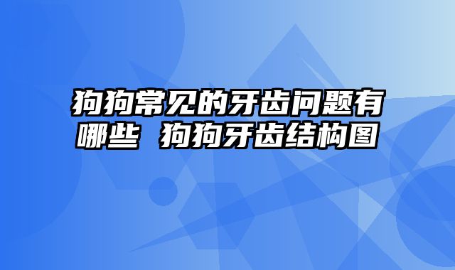 狗狗常见的牙齿问题有哪些 狗狗牙齿结构图