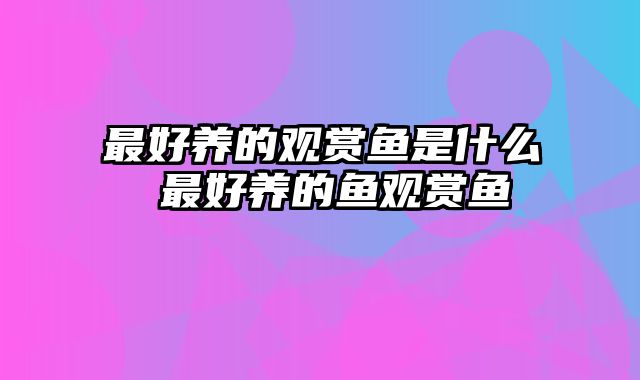 最好养的观赏鱼是什么 最好养的鱼观赏鱼
