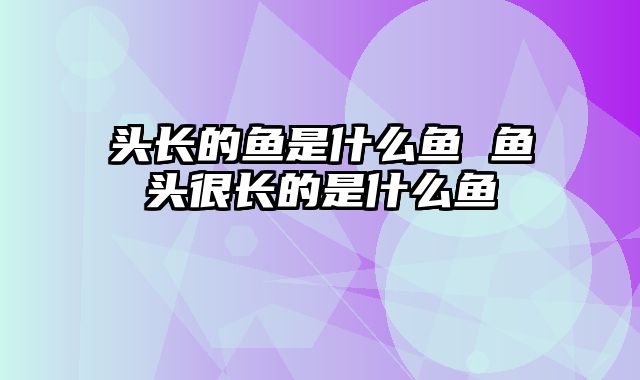 头长的鱼是什么鱼 鱼头很长的是什么鱼