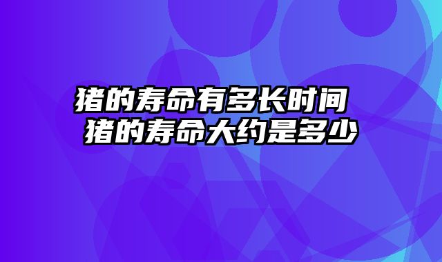 猪的寿命有多长时间 猪的寿命大约是多少